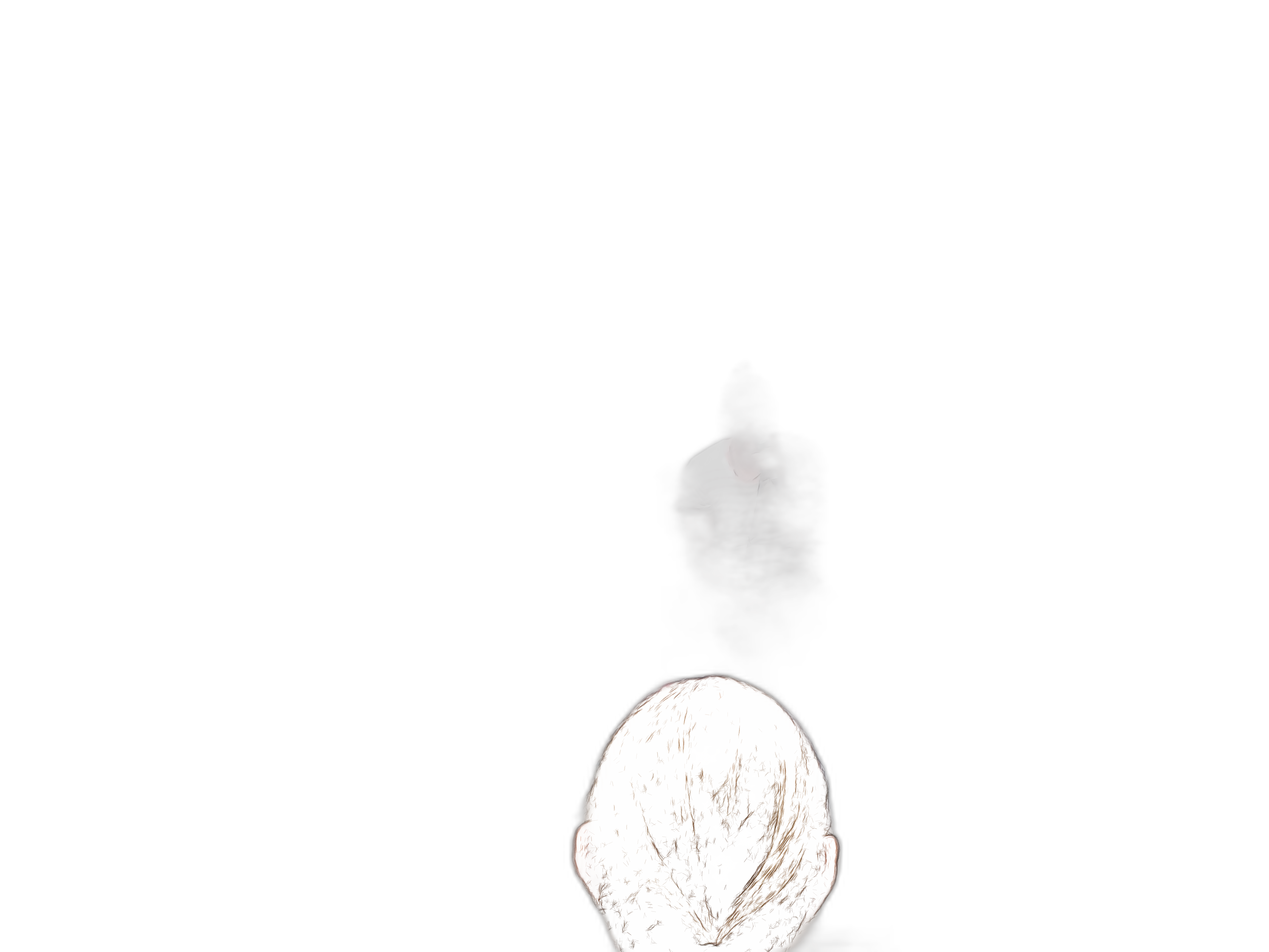 v2_fg_filtered.png