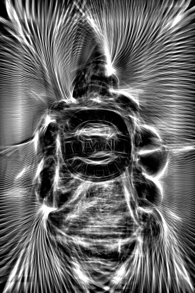 20260907_201214_c16f48_upload-1788811931616_v2_fg_filtered.png